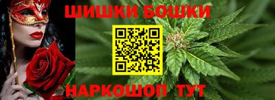 ГАЛЛЮЦИНОГЕННЫЕ ГРИБЫ Кингисепп