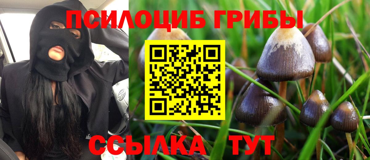 Псилоцибиновые грибы MAGIC MUSHROOMS Кыштым